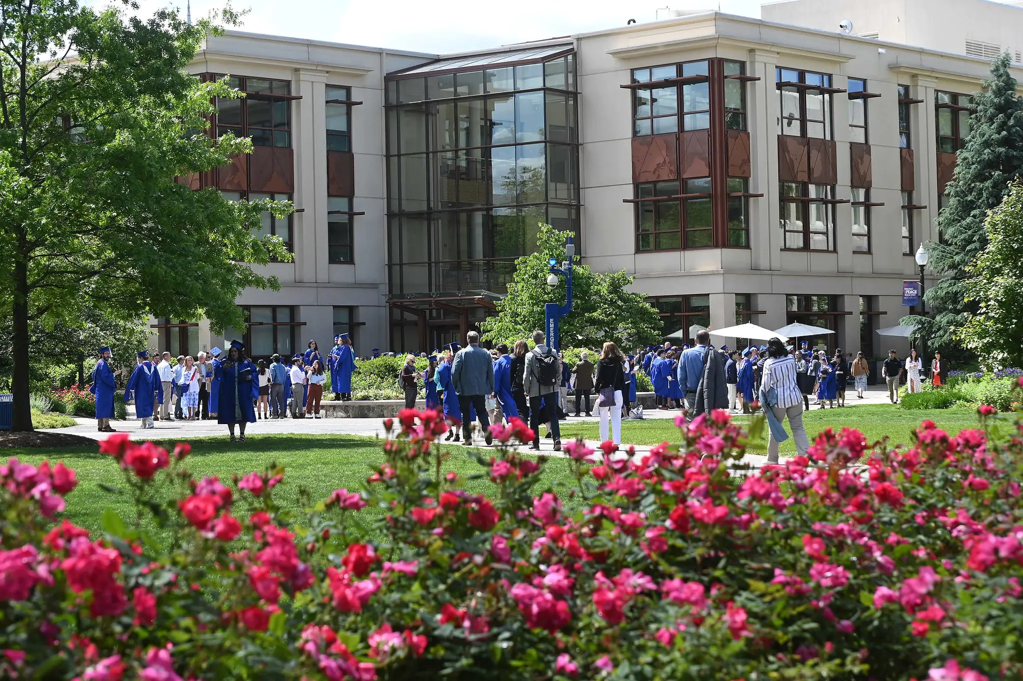 Amerikan Üniversitesi, ABD