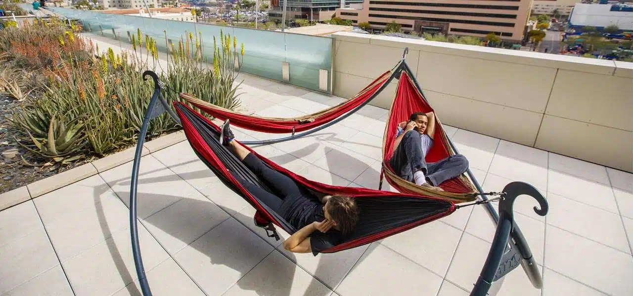 Arizona Eyalet Üniversitesi, Hamaktaki Öğrenciler